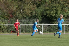 VfL Sindelfingen (B2) - 1. FC Norm. Gmünd (23.09.2023)