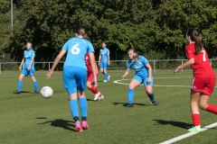 VfL Sindelfingen (B2) - 1. FC Norm. Gmünd (23.09.2023)