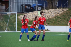 VfL Sindelfingen (B2) - SGM TSV Hildrizhausen (31.03.2019)