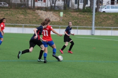 VfL Sindelfingen (B2) - SGM TSV Hildrizhausen (31.03.2019)