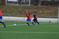 VfL Sindelfingen (B2) - SGM TSV Hildrizhausen (31.03.2019)