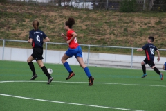 VfL Sindelfingen (B2) - SGM TSV Hildrizhausen (31.03.2019)