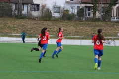 VfL Sindelfingen (B2) - SGM TSV Hildrizhausen (31.03.2019)