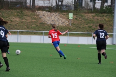 VfL Sindelfingen (B2) - SGM TSV Hildrizhausen (31.03.2019)