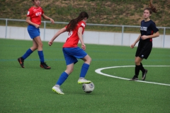 VfL Sindelfingen (B2) - SGM TSV Hildrizhausen (31.03.2019)