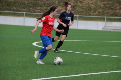 VfL Sindelfingen (B2) - SGM TSV Hildrizhausen (31.03.2019)