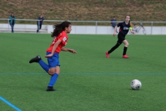 VfL Sindelfingen (B2) - SGM TSV Hildrizhausen (31.03.2019)