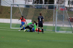 VfL Sindelfingen (B2) - SGM TSV Hildrizhausen (31.03.2019)