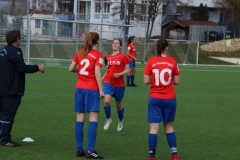 VfL Sindelfingen (B2) - SGM TSV Hildrizhausen (31.03.2019)