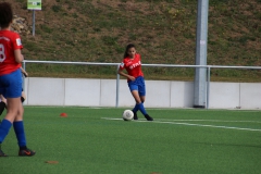 VfL Sindelfingen (B2) - SGM TSV Hildrizhausen (31.03.2019)