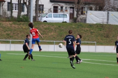 VfL Sindelfingen (B2) - SGM TSV Hildrizhausen (31.03.2019)