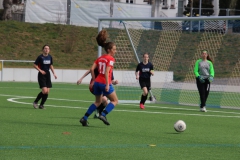 VfL Sindelfingen (B2) - SGM TSV Hildrizhausen (31.03.2019)