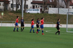 VfL Sindelfingen (B2) - SGM TSV Hildrizhausen (31.03.2019)