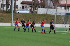 VfL Sindelfingen (B2) - SGM TSV Hildrizhausen (31.03.2019)