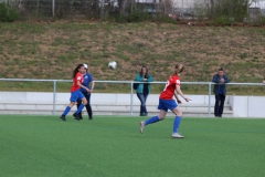 VfL Sindelfingen (B2) - SGM TSV Hildrizhausen (31.03.2019)