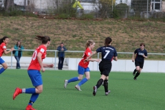 VfL Sindelfingen (B2) - SGM TSV Hildrizhausen (31.03.2019)