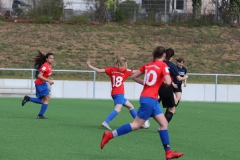 VfL Sindelfingen (B2) - SGM TSV Hildrizhausen (31.03.2019)