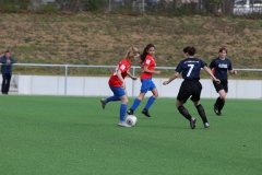 VfL Sindelfingen (B2) - SGM TSV Hildrizhausen (31.03.2019)