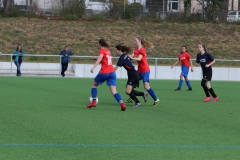 VfL Sindelfingen (B2) - SGM TSV Hildrizhausen (31.03.2019)