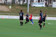 VfL Sindelfingen (B2) - SGM TSV Hildrizhausen (31.03.2019)