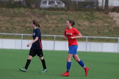 VfL Sindelfingen (B2) - SGM TSV Hildrizhausen (31.03.2019)