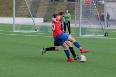 VfL Sindelfingen (B2) - SGM TSV Hildrizhausen (31.03.2019)