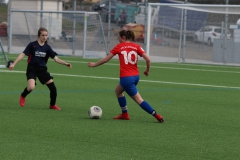 VfL Sindelfingen (B2) - SGM TSV Hildrizhausen (31.03.2019)