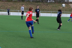 VfL Sindelfingen (B2) - SGM TSV Hildrizhausen (31.03.2019)