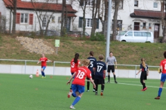 VfL Sindelfingen (B2) - SGM TSV Hildrizhausen (31.03.2019)