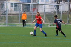 VfL Sindelfingen (B2) - SGM TSV Hildrizhausen (31.03.2019)