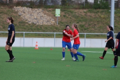 VfL Sindelfingen (B2) - SGM TSV Hildrizhausen (31.03.2019)