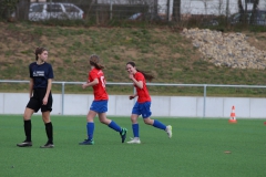 VfL Sindelfingen (B2) - SGM TSV Hildrizhausen (31.03.2019)