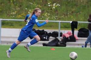 VfL Sindelfingen (B2) - Spfr. Gechingen (12.05.2019)