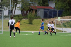 VfL Sindelfingen (B2) - Spfr. Gechingen (12.05.2019)