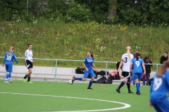 VfL Sindelfingen (B2) - Spfr. Gechingen (12.05.2019)