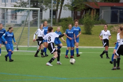 VfL Sindelfingen (B2) - Spfr. Gechingen (12.05.2019)