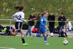 VfL Sindelfingen (B2) - Spfr. Gechingen (12.05.2019)