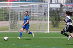 VfL Sindelfingen (B2) - Spfr. Gechingen (12.05.2019)