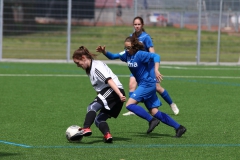 VfL Sindelfingen (B2) - Spfr. Gechingen (12.05.2019)