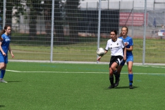 VfL Sindelfingen (B2) - Spfr. Gechingen (12.05.2019)