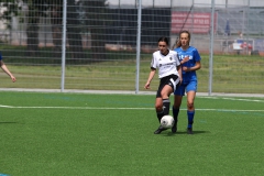 VfL Sindelfingen (B2) - Spfr. Gechingen (12.05.2019)