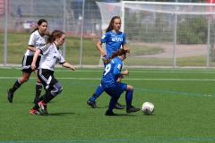 VfL Sindelfingen (B2) - Spfr. Gechingen (12.05.2019)