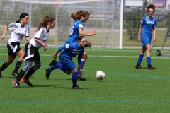 VfL Sindelfingen (B2) - Spfr. Gechingen (12.05.2019)