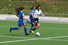 VfL Sindelfingen (B2) - Spfr. Gechingen (12.05.2019)