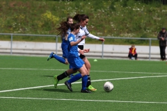 VfL Sindelfingen (B2) - Spfr. Gechingen (12.05.2019)