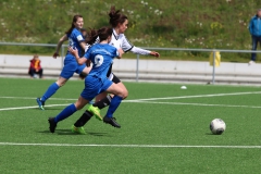 VfL Sindelfingen (B2) - Spfr. Gechingen (12.05.2019)