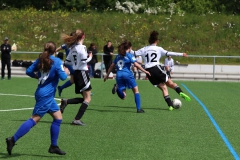 VfL Sindelfingen (B2) - Spfr. Gechingen (12.05.2019)