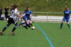 VfL Sindelfingen (B2) - Spfr. Gechingen (12.05.2019)