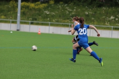 VfL Sindelfingen (B2) - Spfr. Gechingen (12.05.2019)