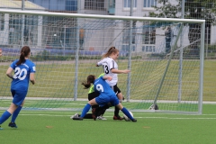 VfL Sindelfingen (B2) - Spfr. Gechingen (12.05.2019)